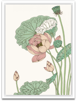 Botanical Gloriosa Lotus II