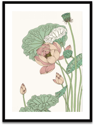 Botanical Gloriosa Lotus II