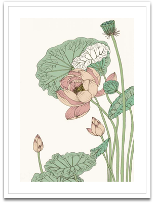 Botanical Gloriosa Lotus II