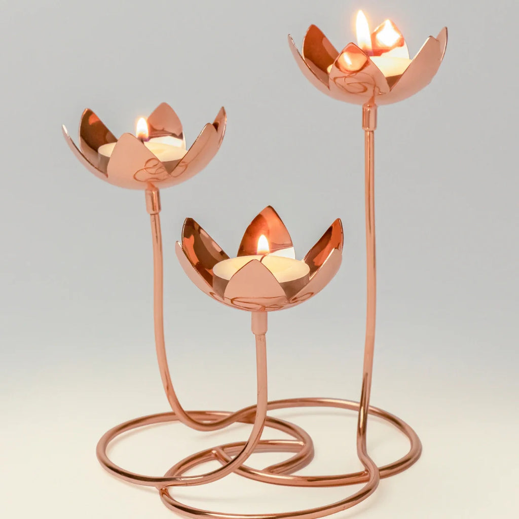 Lotus Cluster - Copper