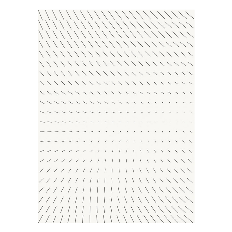 Fusion Reversible Rug