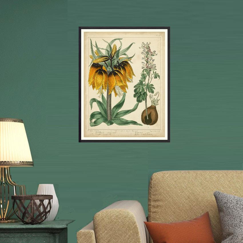 Golden Crown Imperial