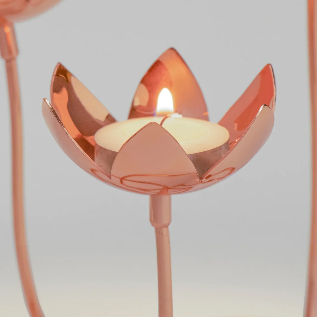 Lotus Cluster - Copper