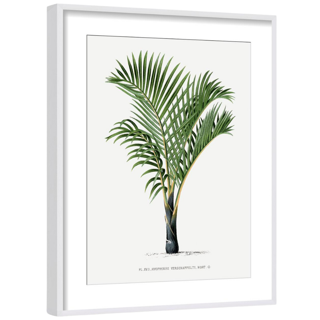 Gallery Wall Art: Palm Leaves | Set of 6