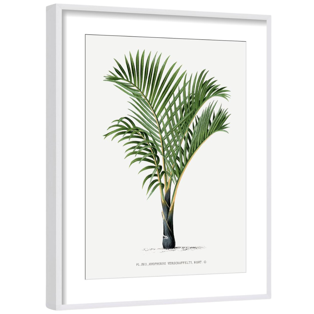 Gallery Wall Art: Palm Leaves | Set of 6