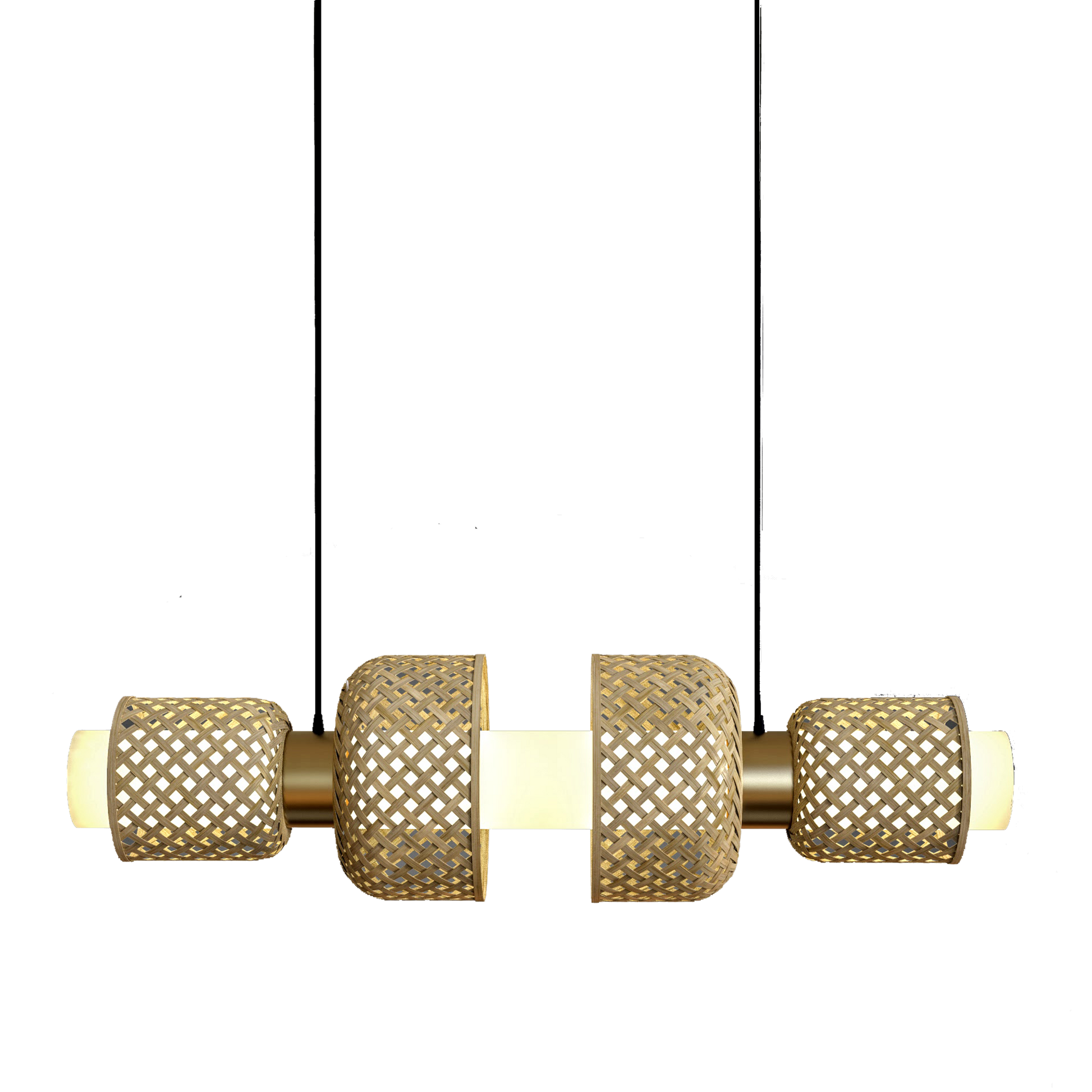 Metamorphosis Pendant Lamp H-001