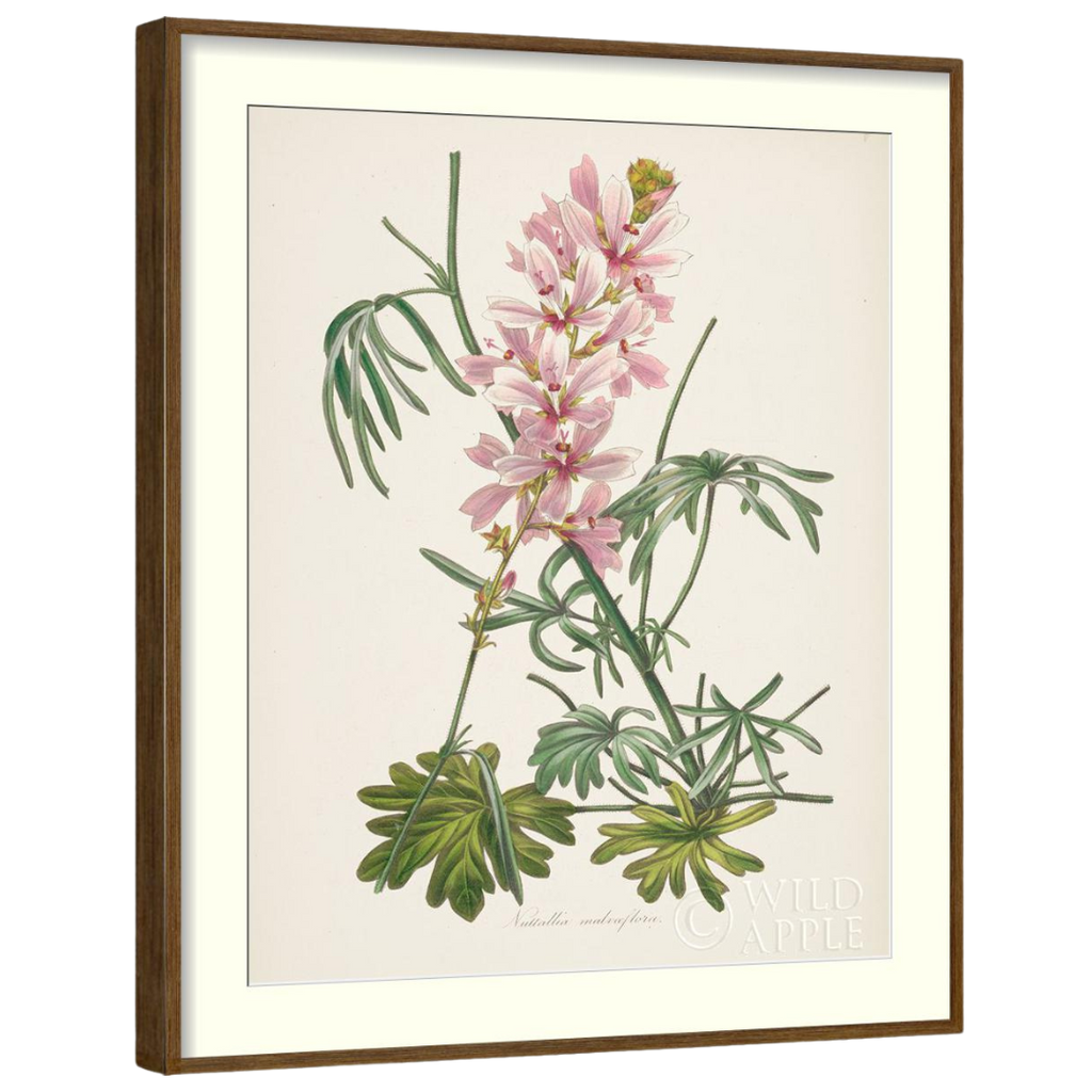 Gallery Wall Art: Antique Botanica | Set of 8