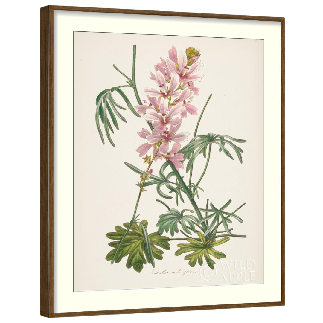 Gallery Wall Art: Antique Botanica | Set of 8