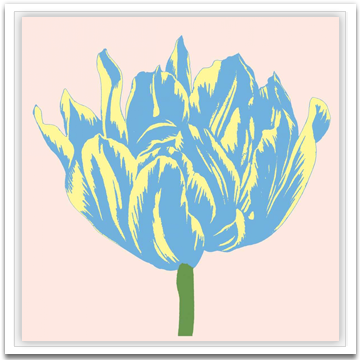 Soho Tulip I