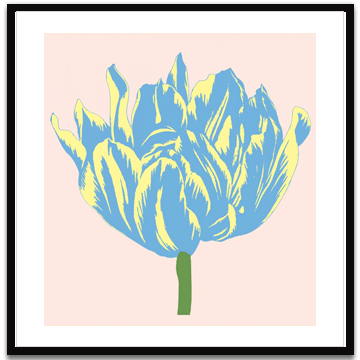 Soho Tulip I