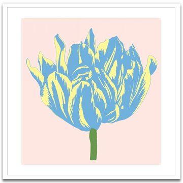 Soho Tulip I