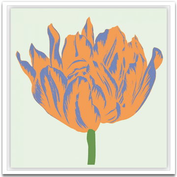 Soho Tulip III