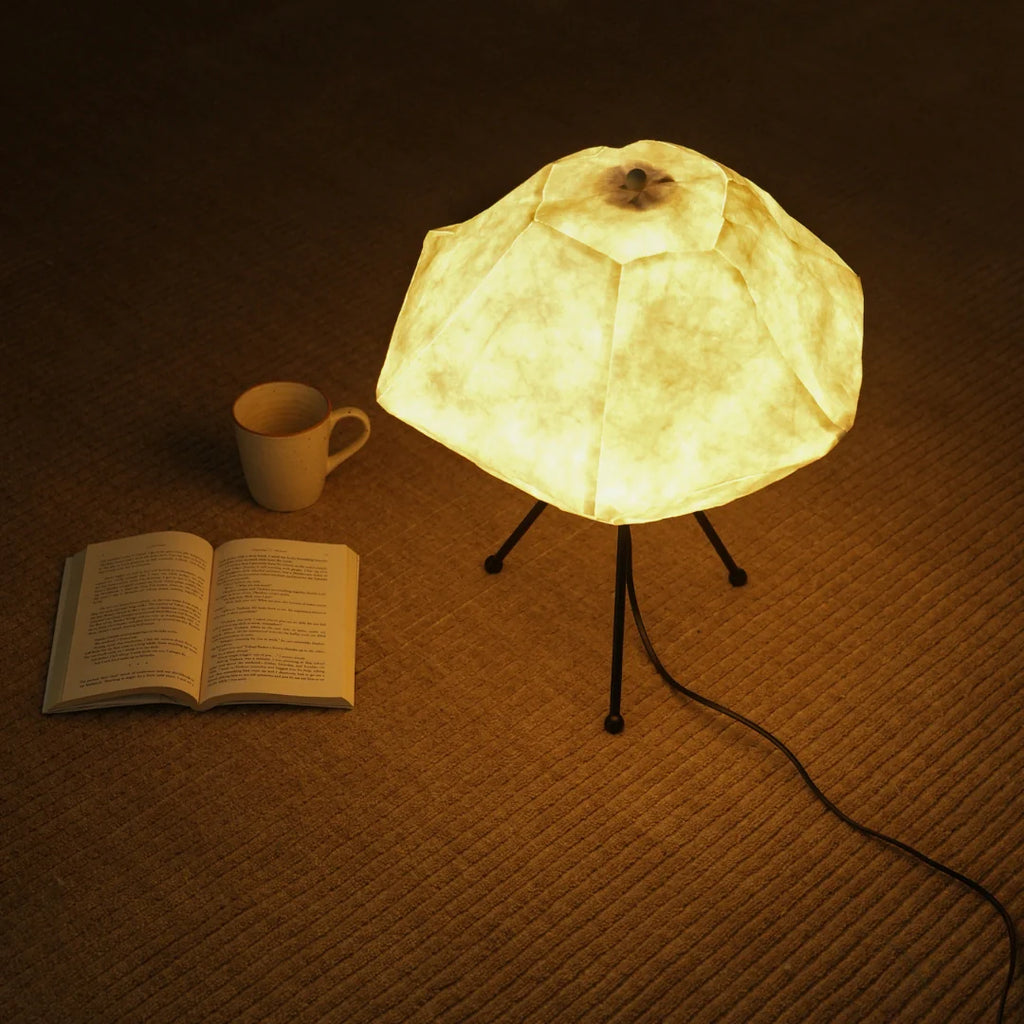 Luna Table Lamp