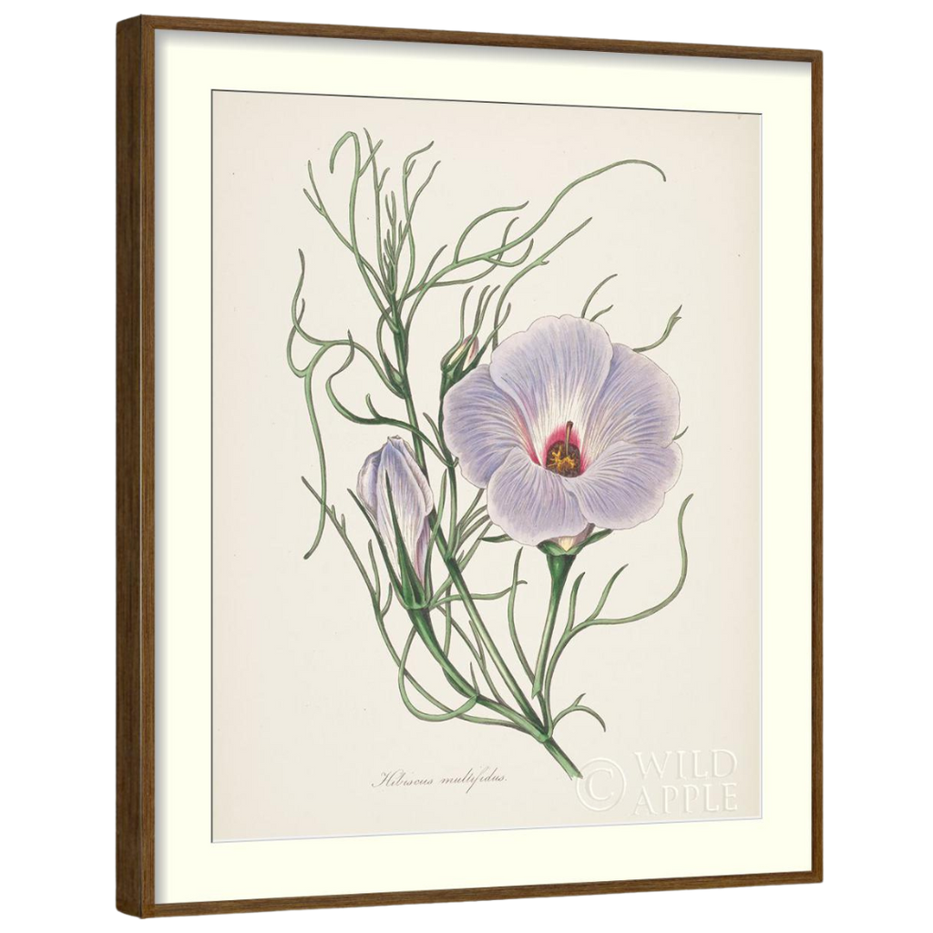 Gallery Wall Art: Antique Botanica | Set of 8