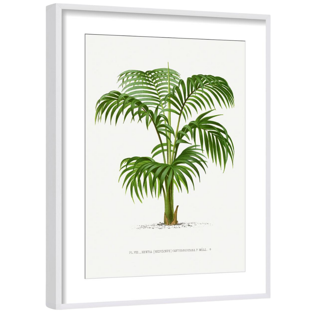 Gallery Wall Art: Palm Leaves | Set of 6