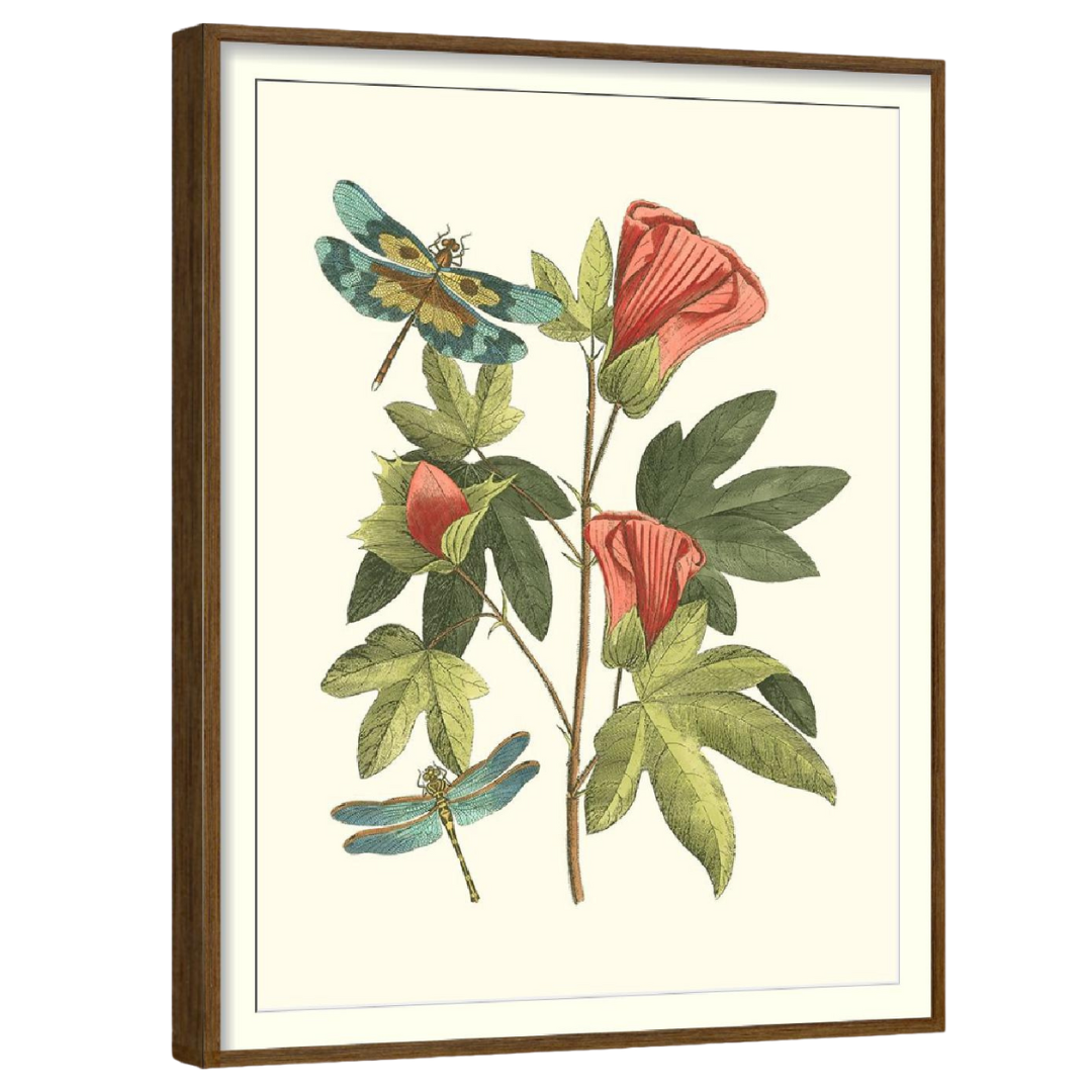 Midsummer Floral (Set of 4)