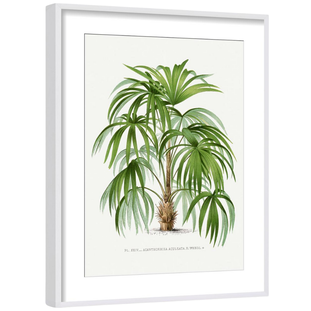 Gallery Wall Art: Palm Leaves | Set of 6