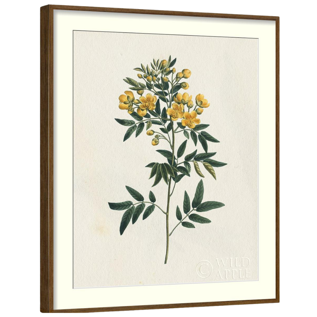 Gallery Wall Art: Antique Botanica | Set of 8
