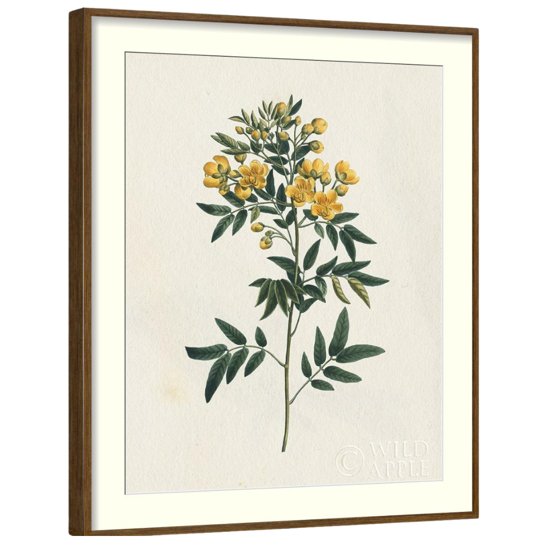 Gallery Wall Art: Antique Botanica | Set of 8