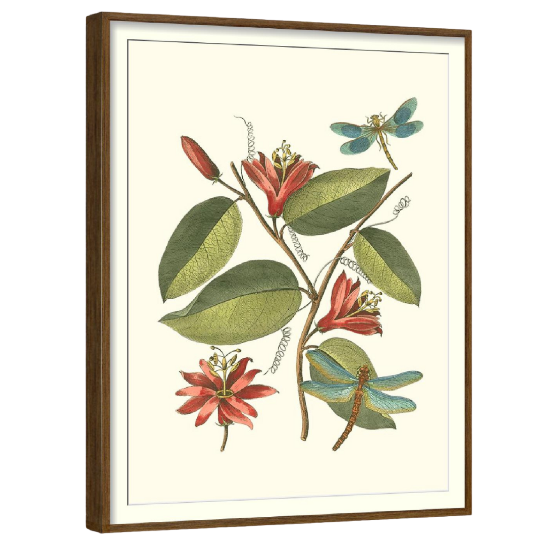 Midsummer Floral (Set of 4)