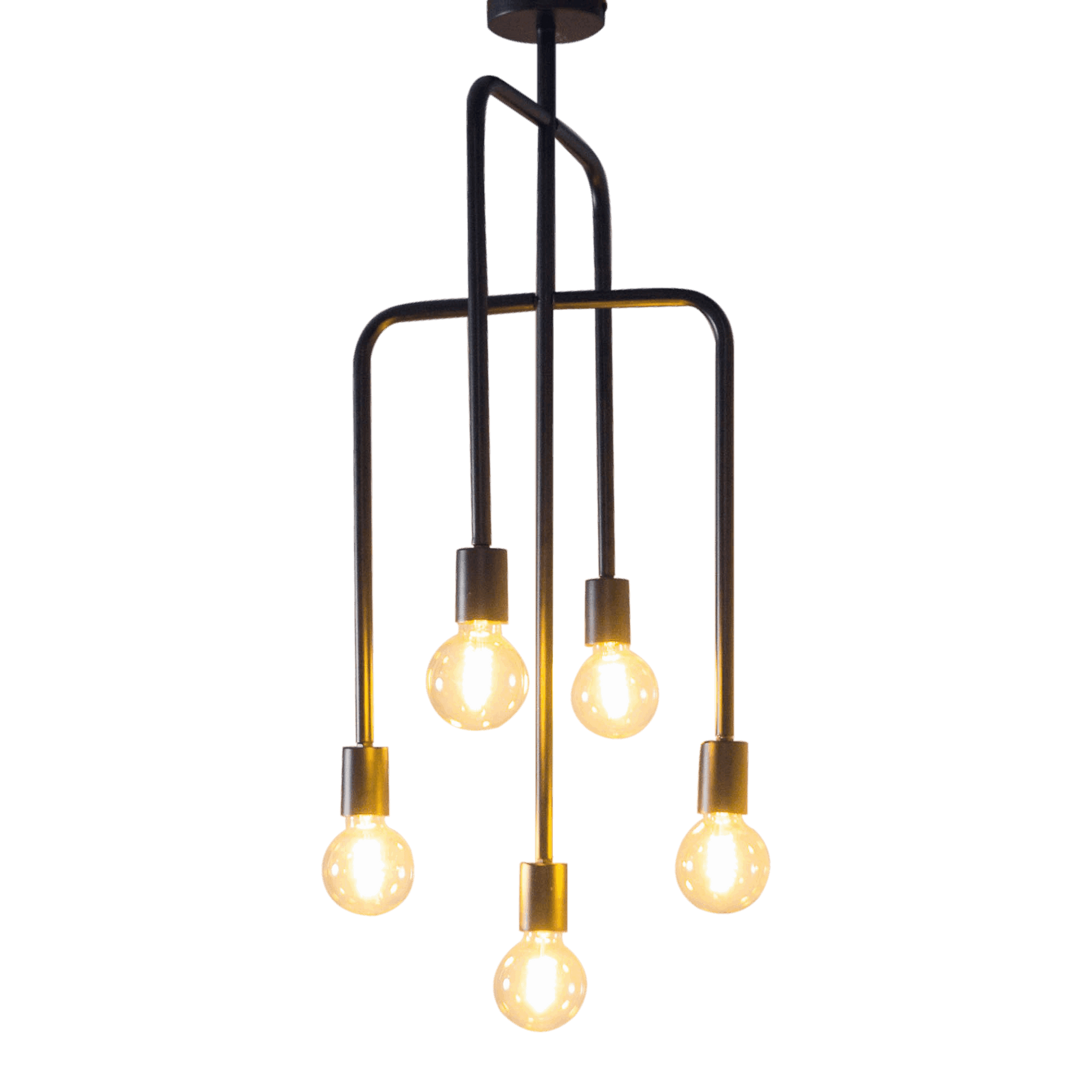 Blackbird 5 Light Chandelier