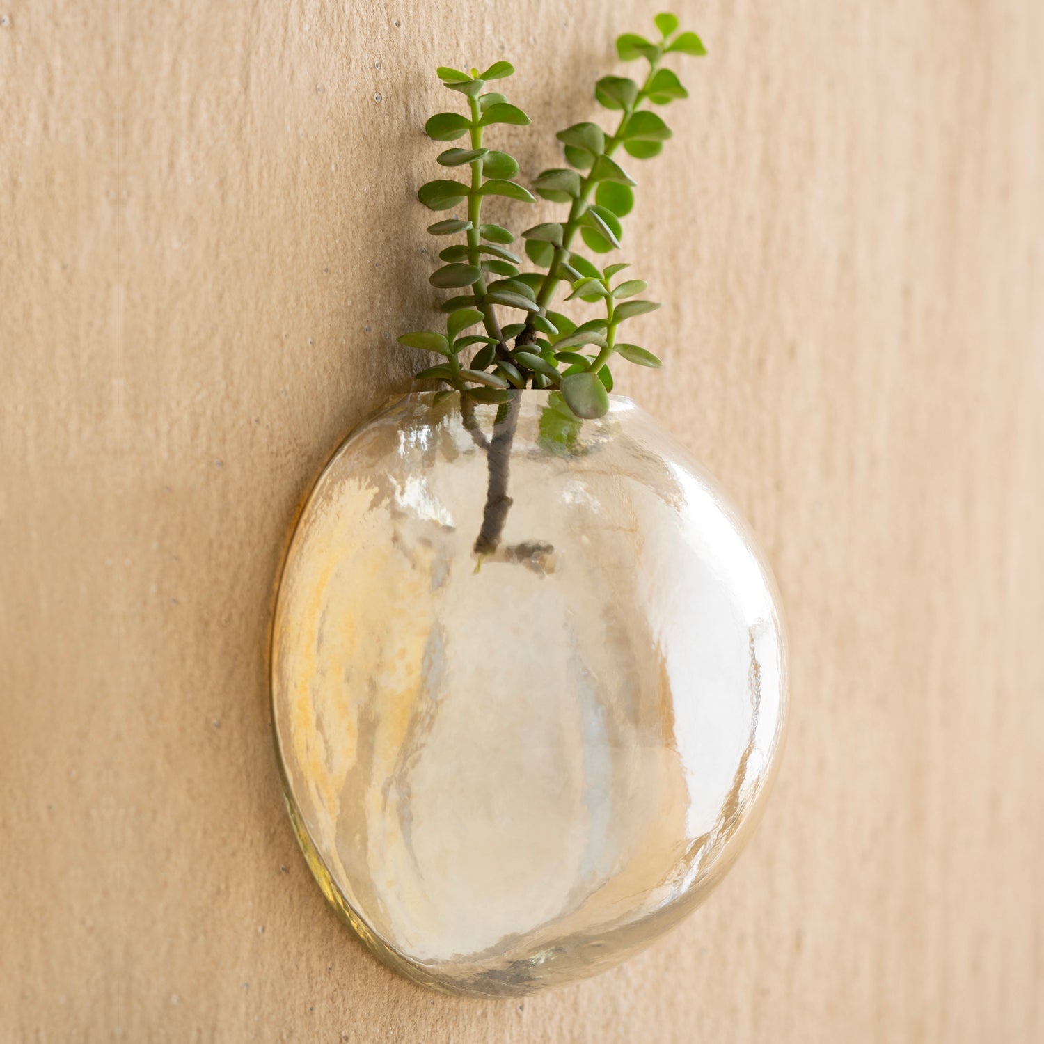 Dew Wall Décor Round