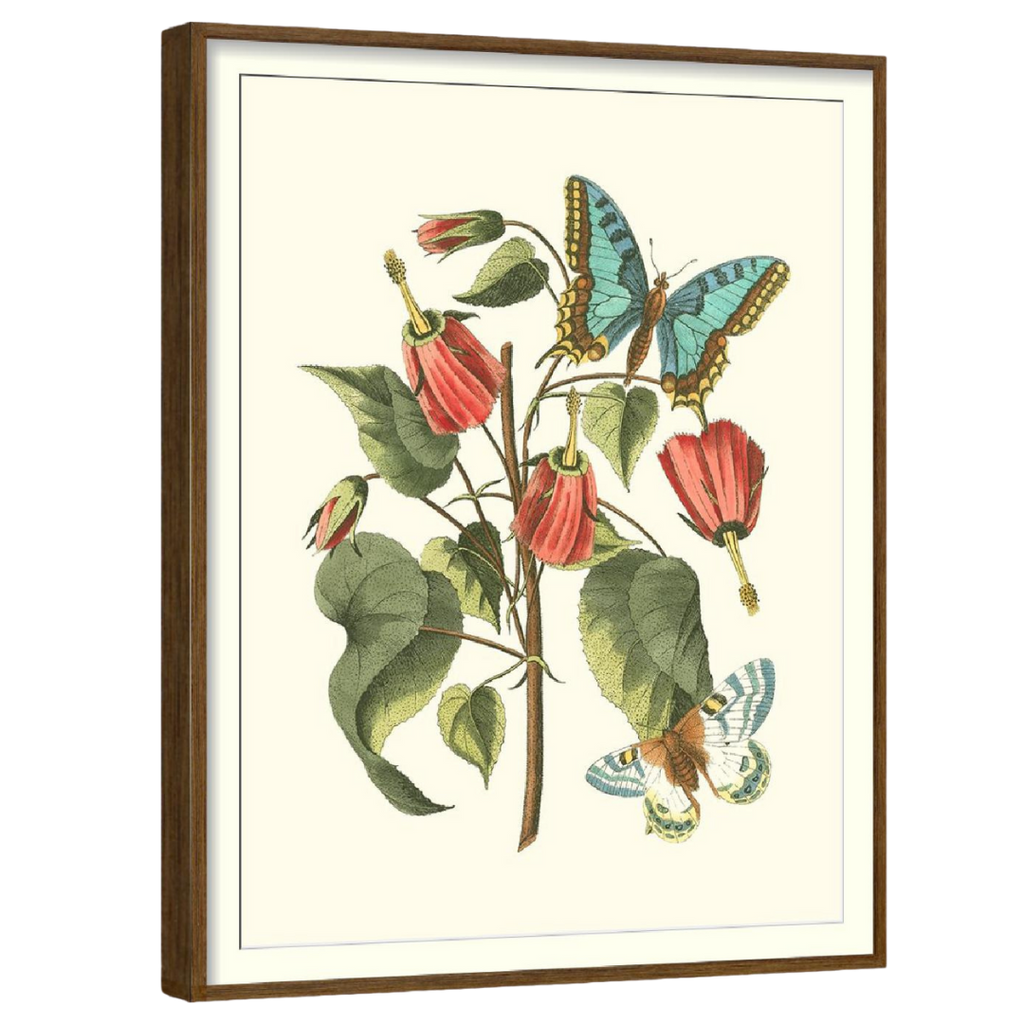 Midsummer Floral (Set of 4)