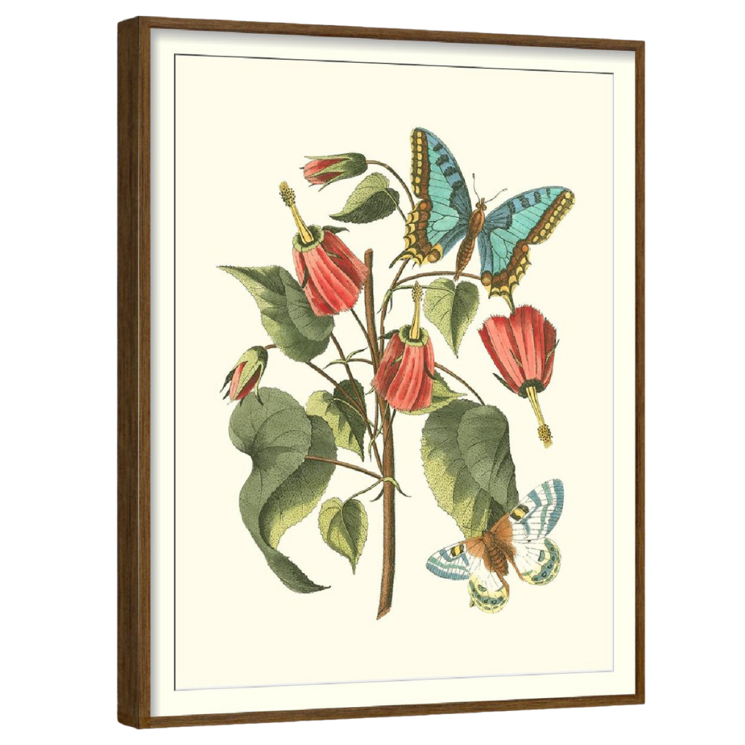 Midsummer Floral (Set of 4)