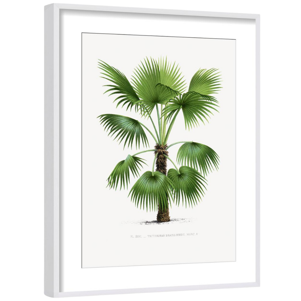 Gallery Wall Art: Palm Leaves | Set of 6