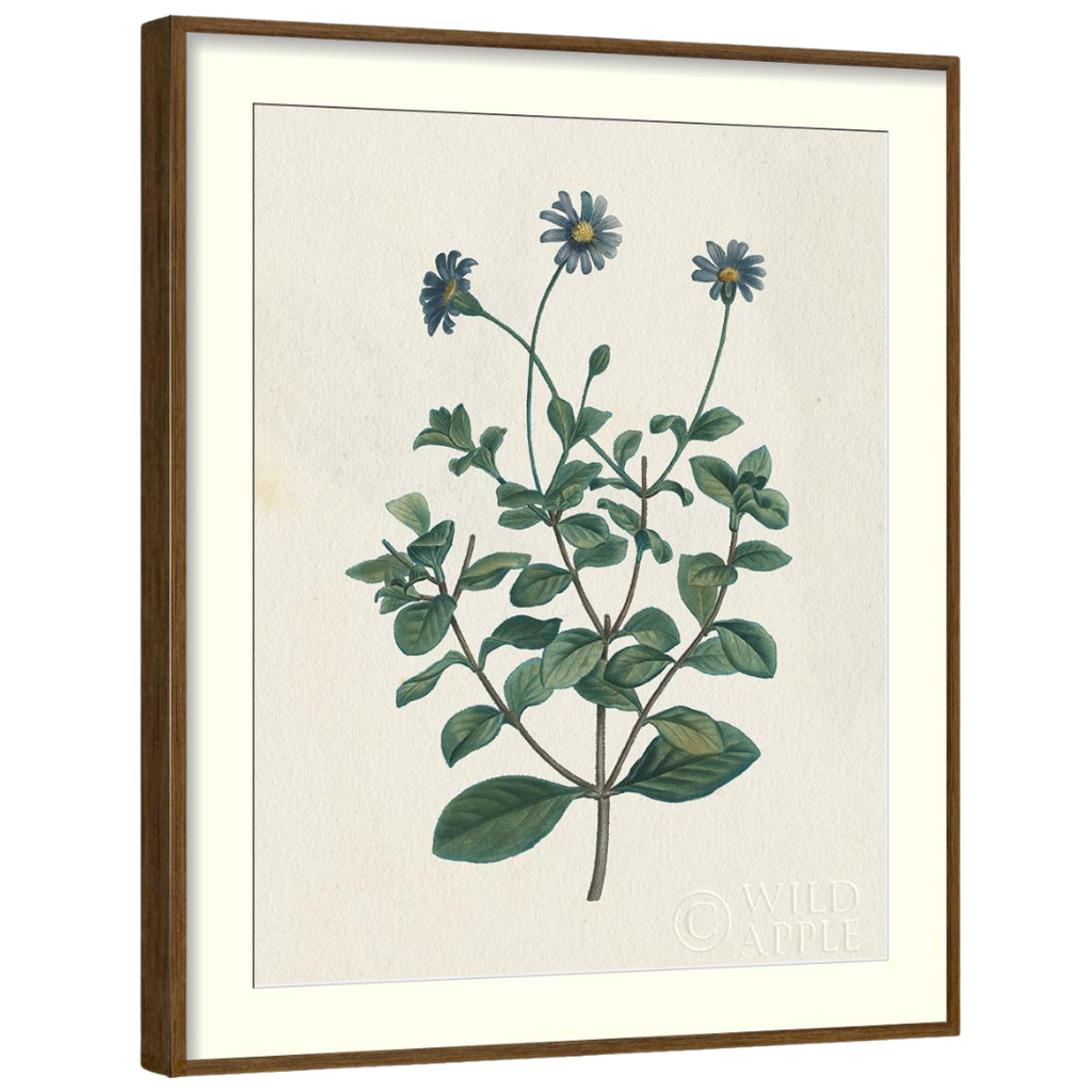 Gallery Wall Art: Antique Botanica | Set of 8