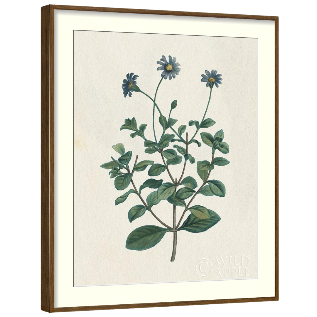 Gallery Wall Art: Antique Botanica | Set of 8