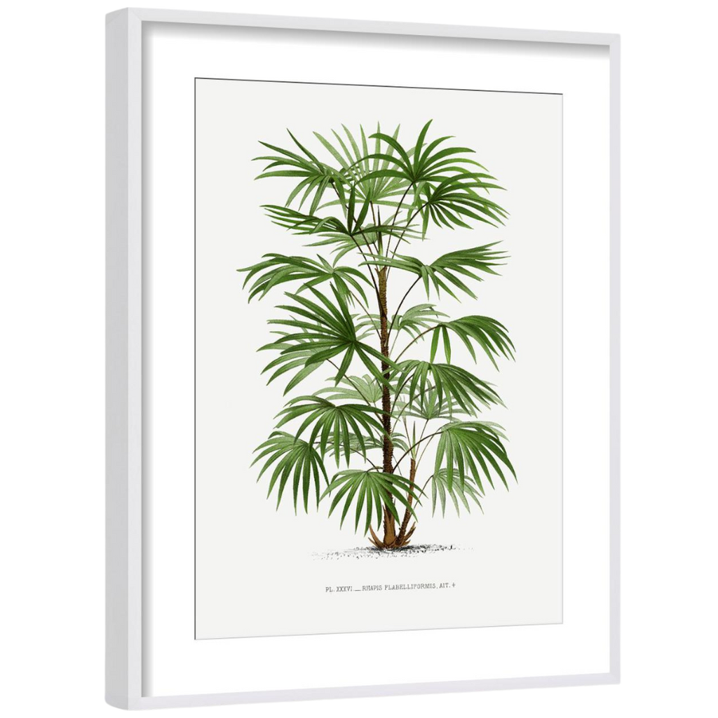 Gallery Wall Art: Palm Leaves | Set of 6