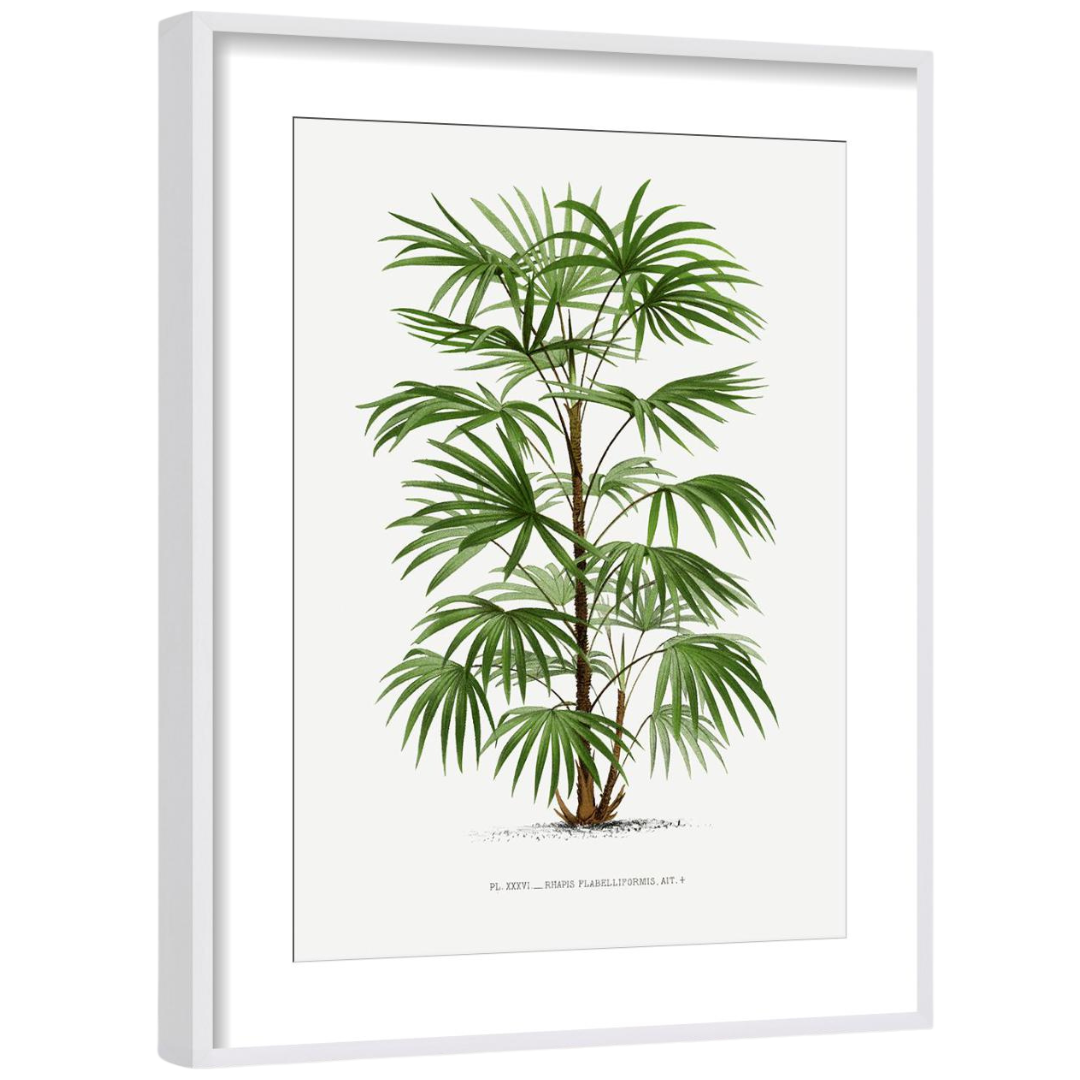 Gallery Wall Art: Palm Leaves | Set of 6