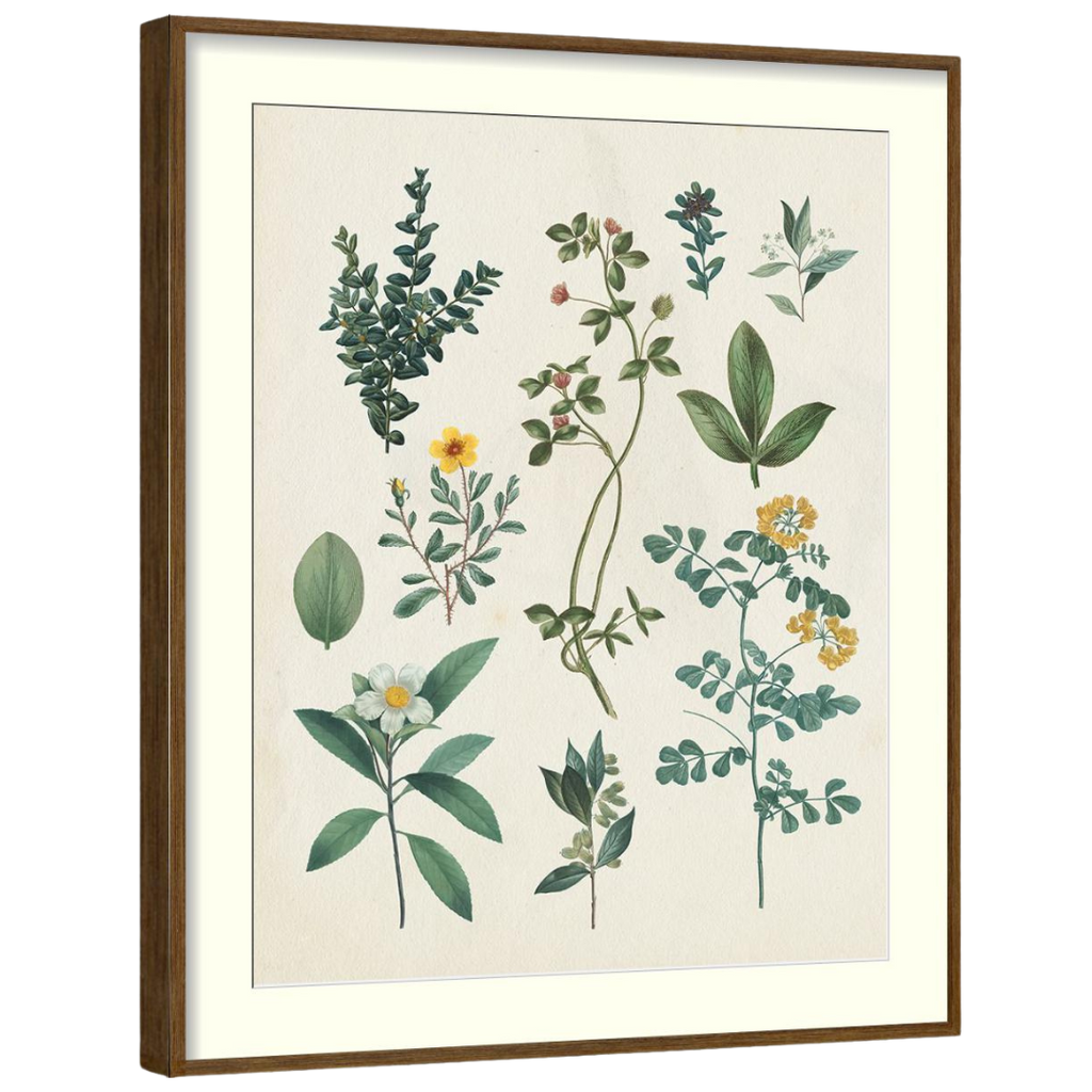 Gallery Wall Art: Antique Botanica | Set of 8