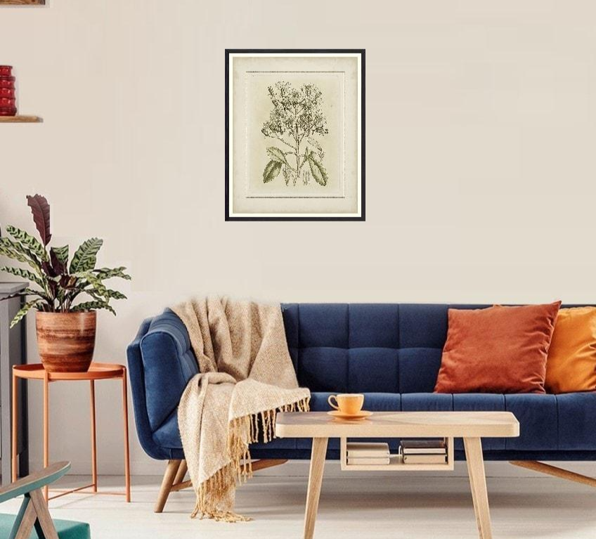 Small Tinted Botanical I