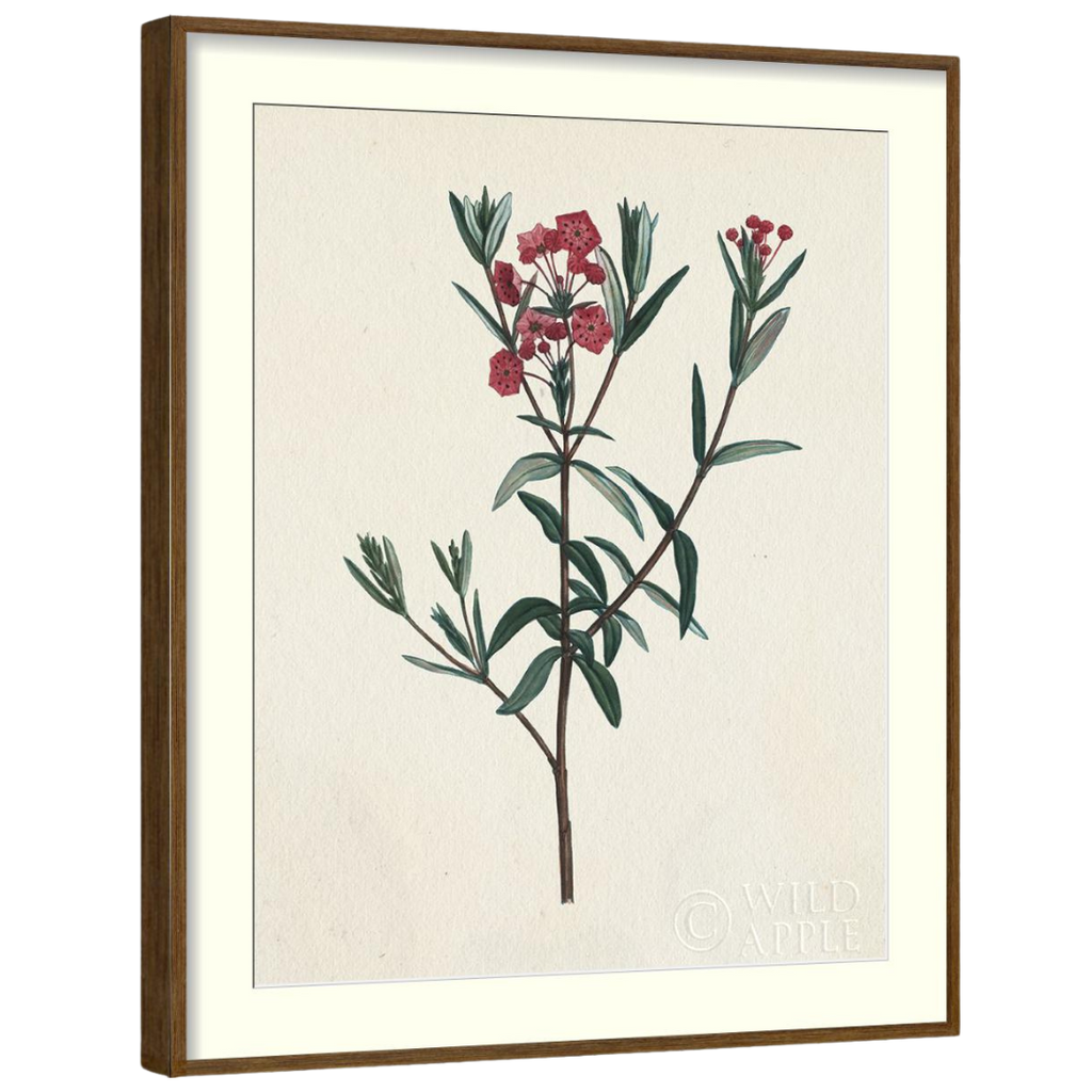 Gallery Wall Art: Antique Botanica | Set of 8