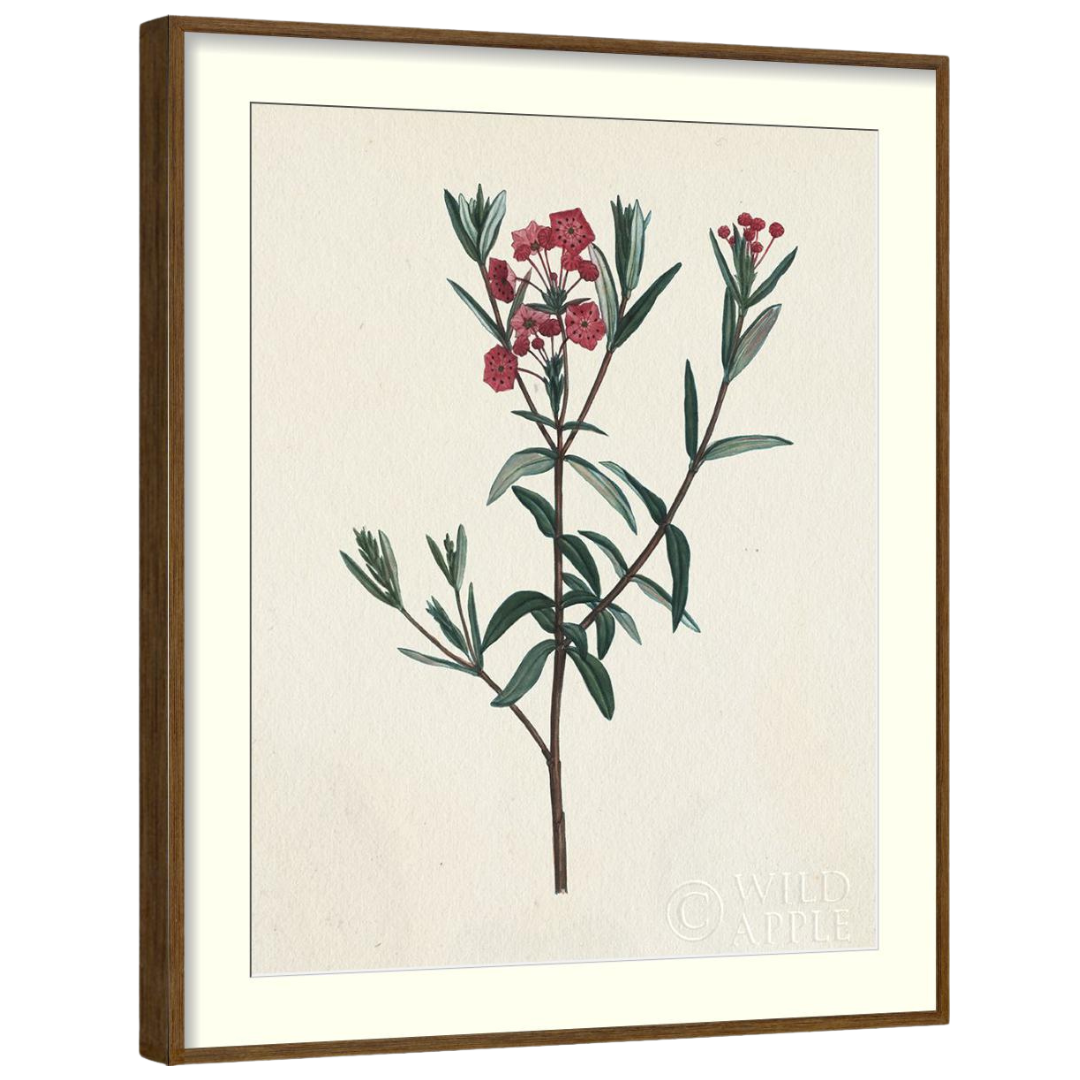 Gallery Wall Art: Antique Botanica | Set of 8