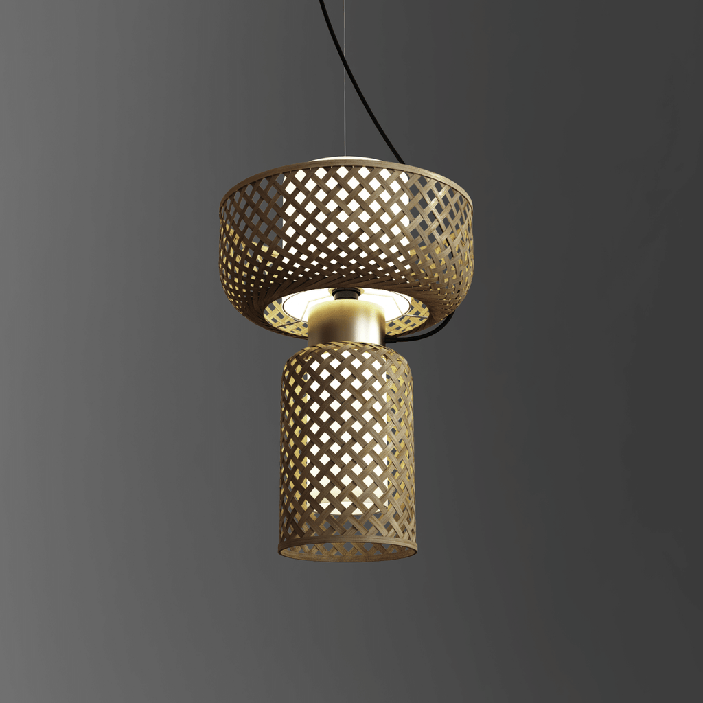 Metamorphosis Pendant Lamp H-005AC