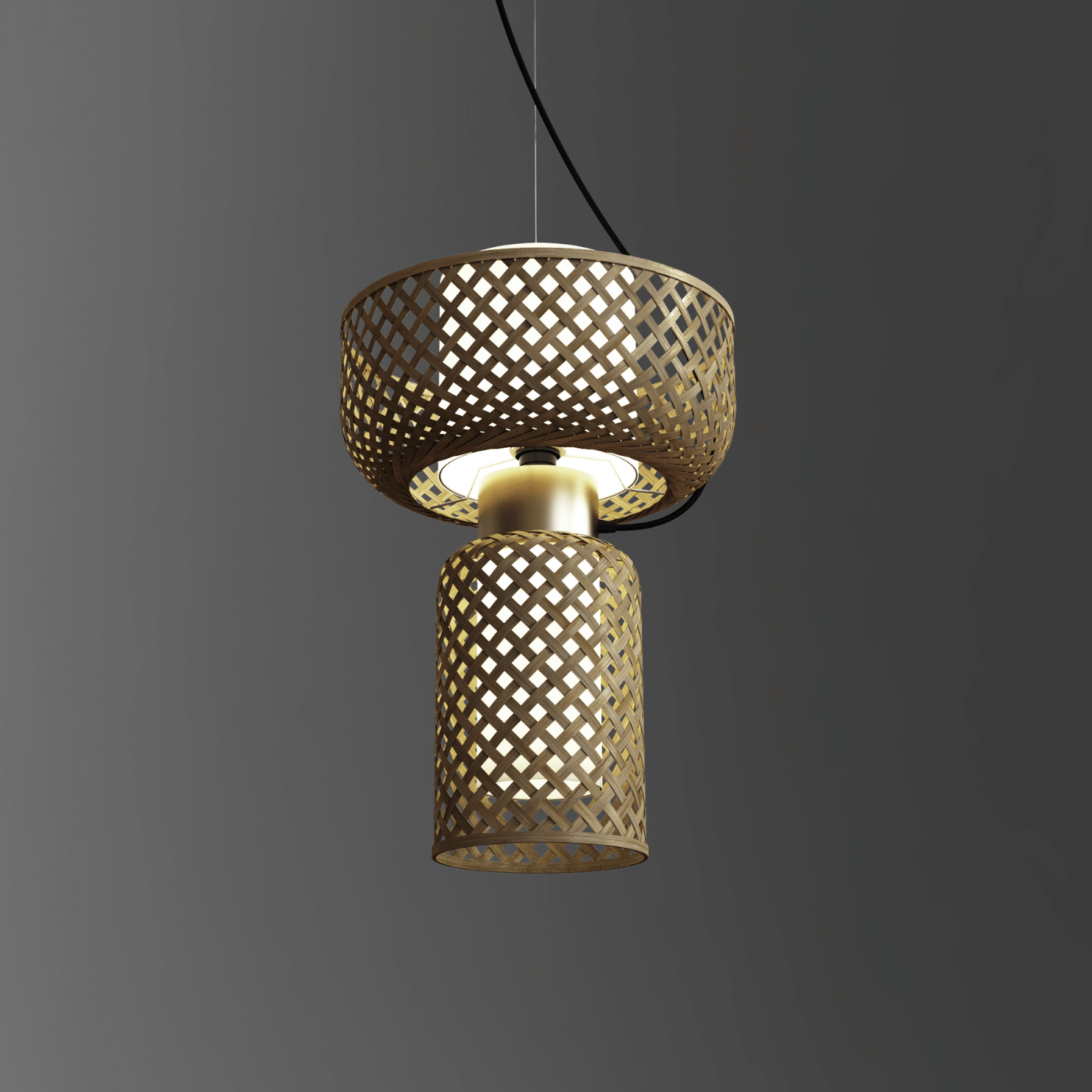 Metamorphosis Pendant Lamp H-005AC