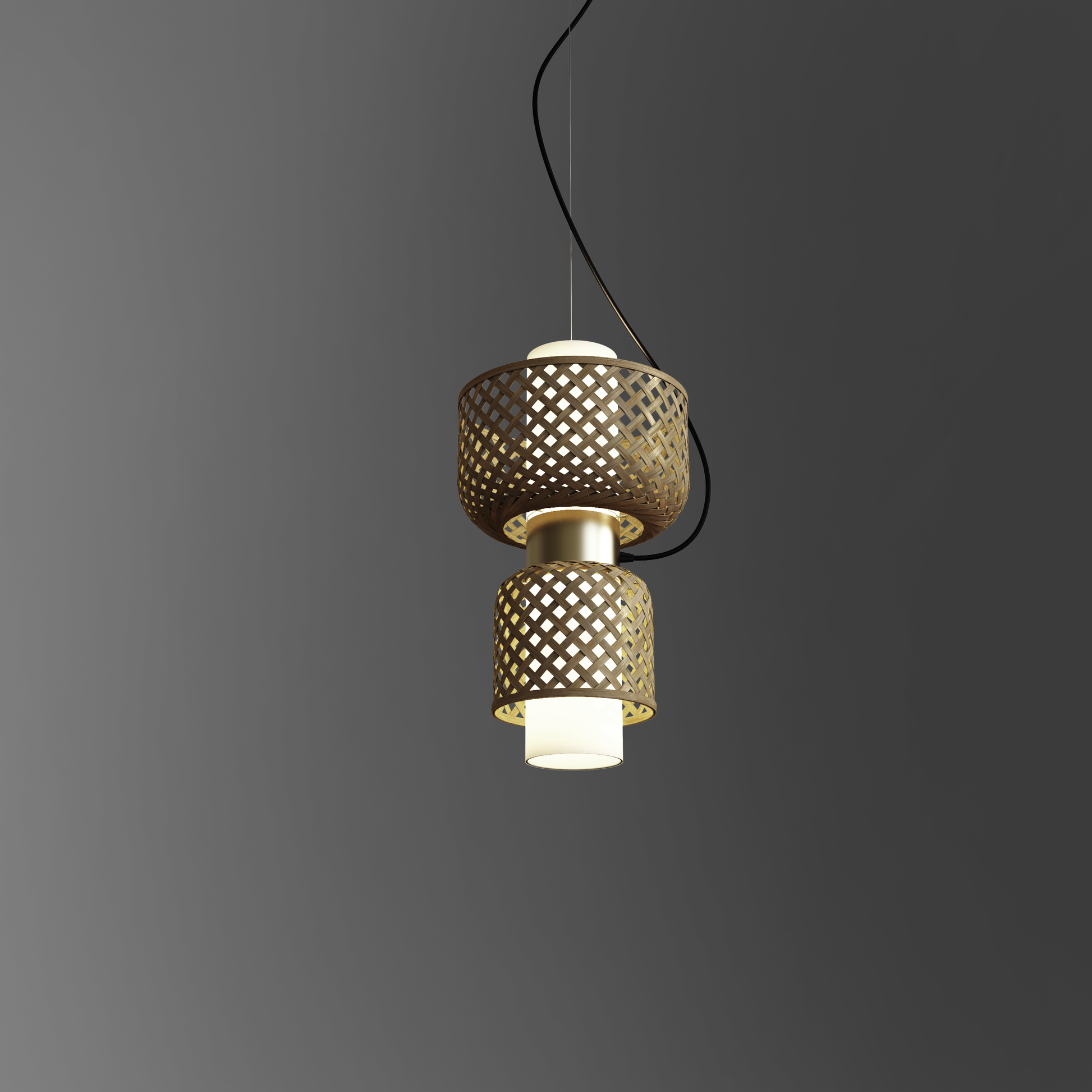 Metamorphosis Pendant Lamp H-010BD