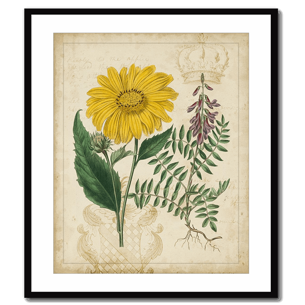 Botanical Repertoire III