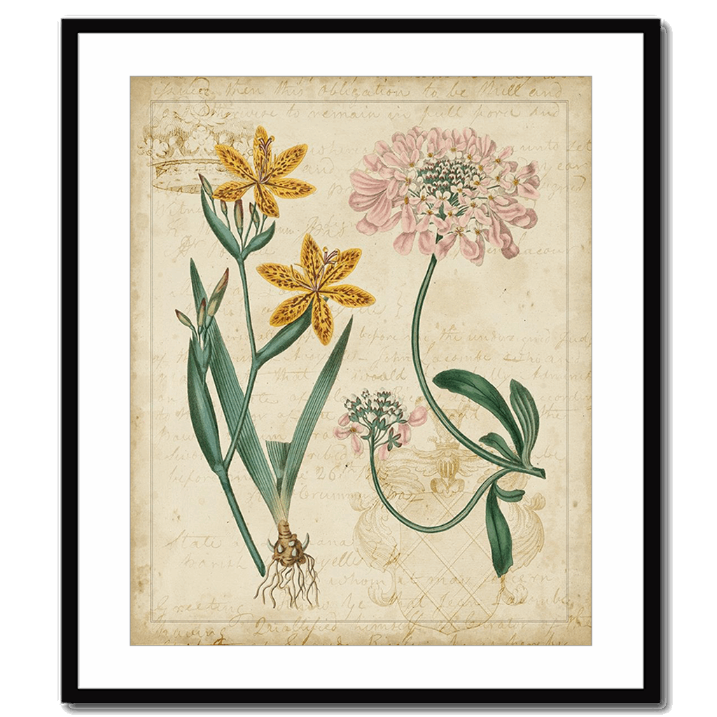 Botanical Repertoire I