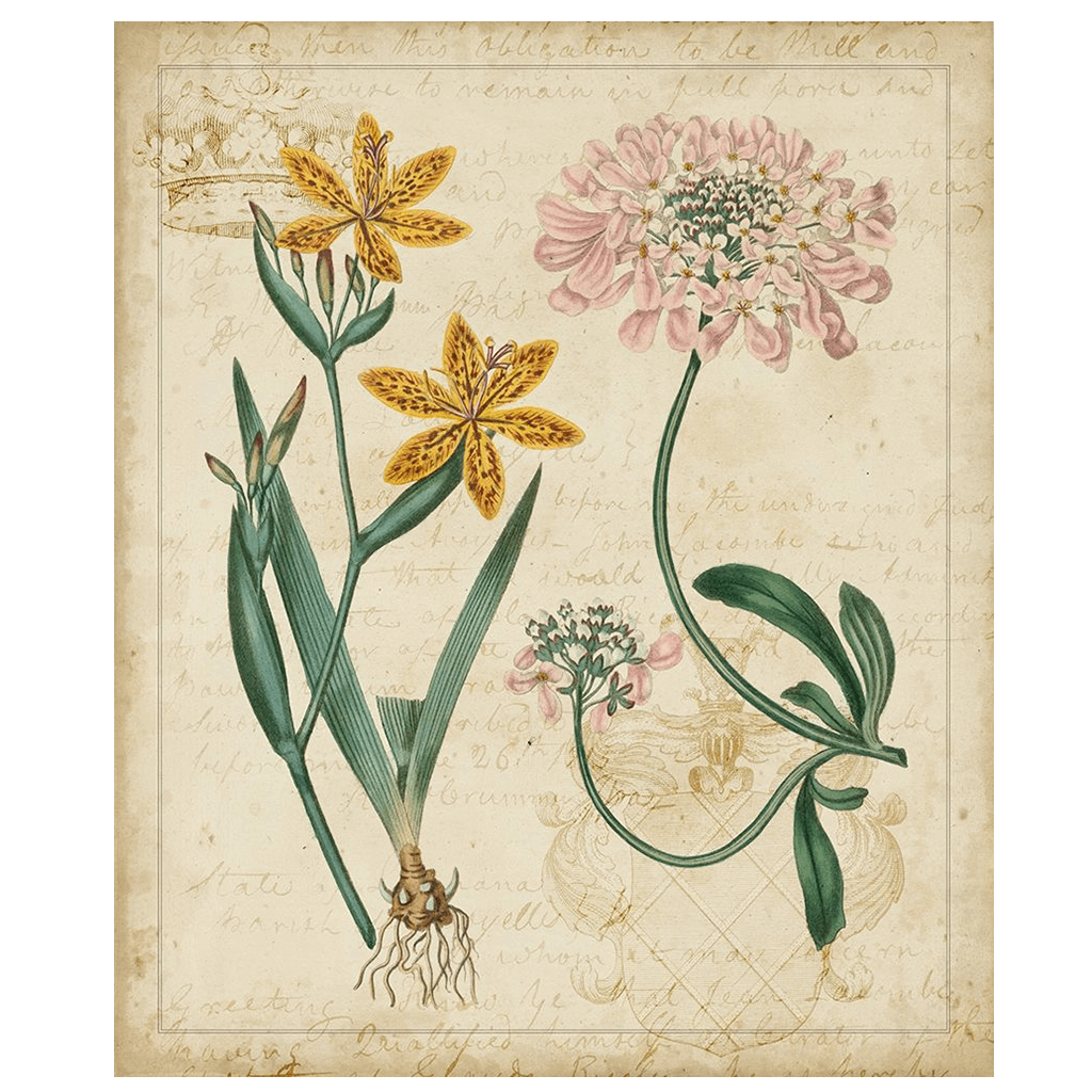 Botanical Repertoire I