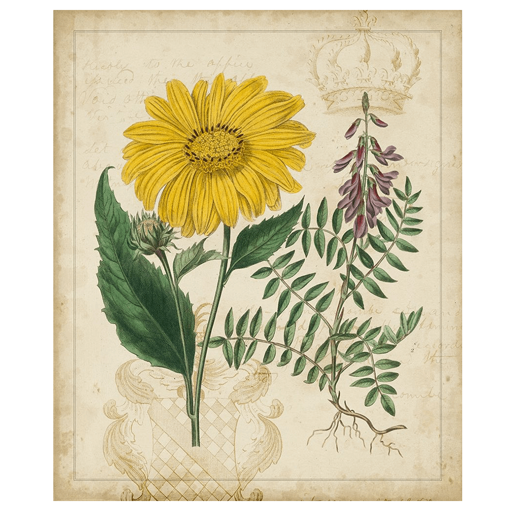 Botanical Repertoire III