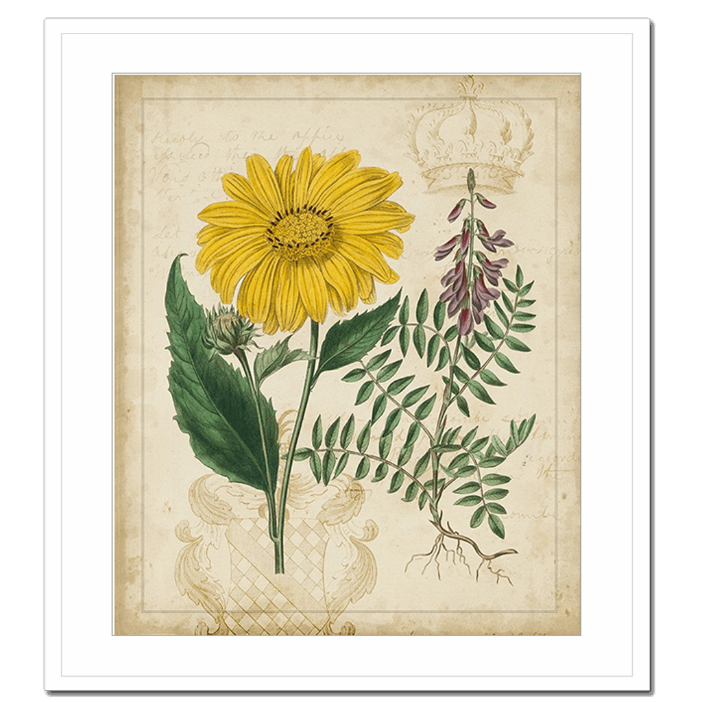 Botanical Repertoire III