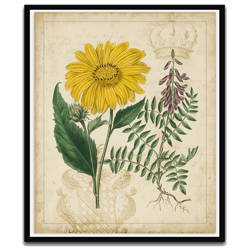 Botanical Repertoire III