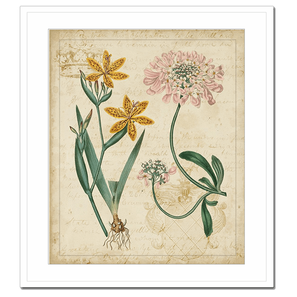 Botanical Repertoire I