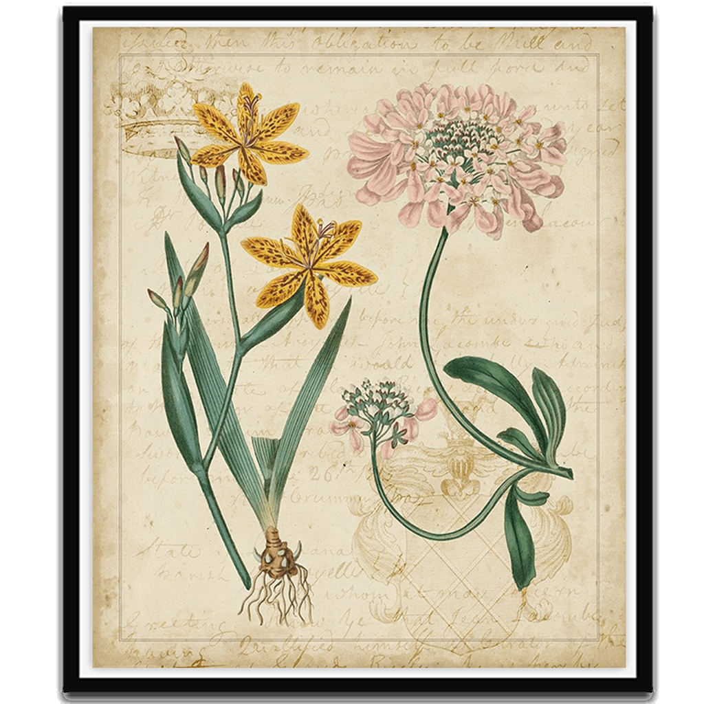 Botanical Repertoire I