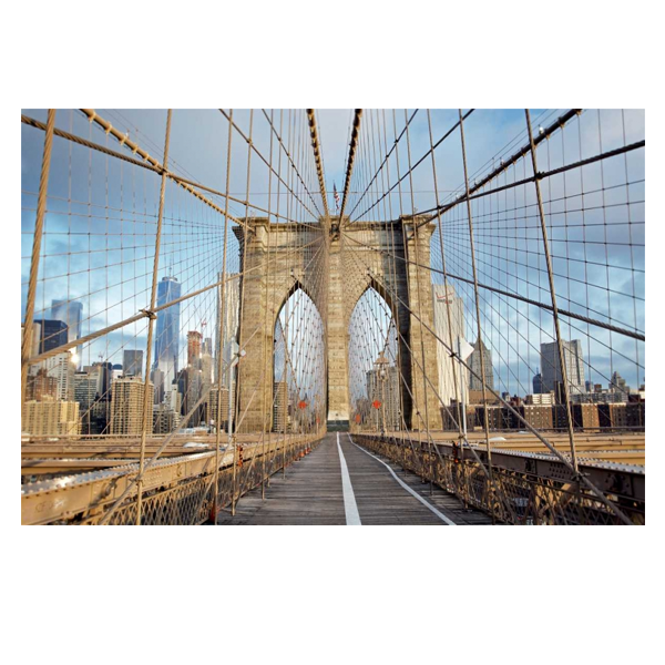 Brooklyn Bridge Art