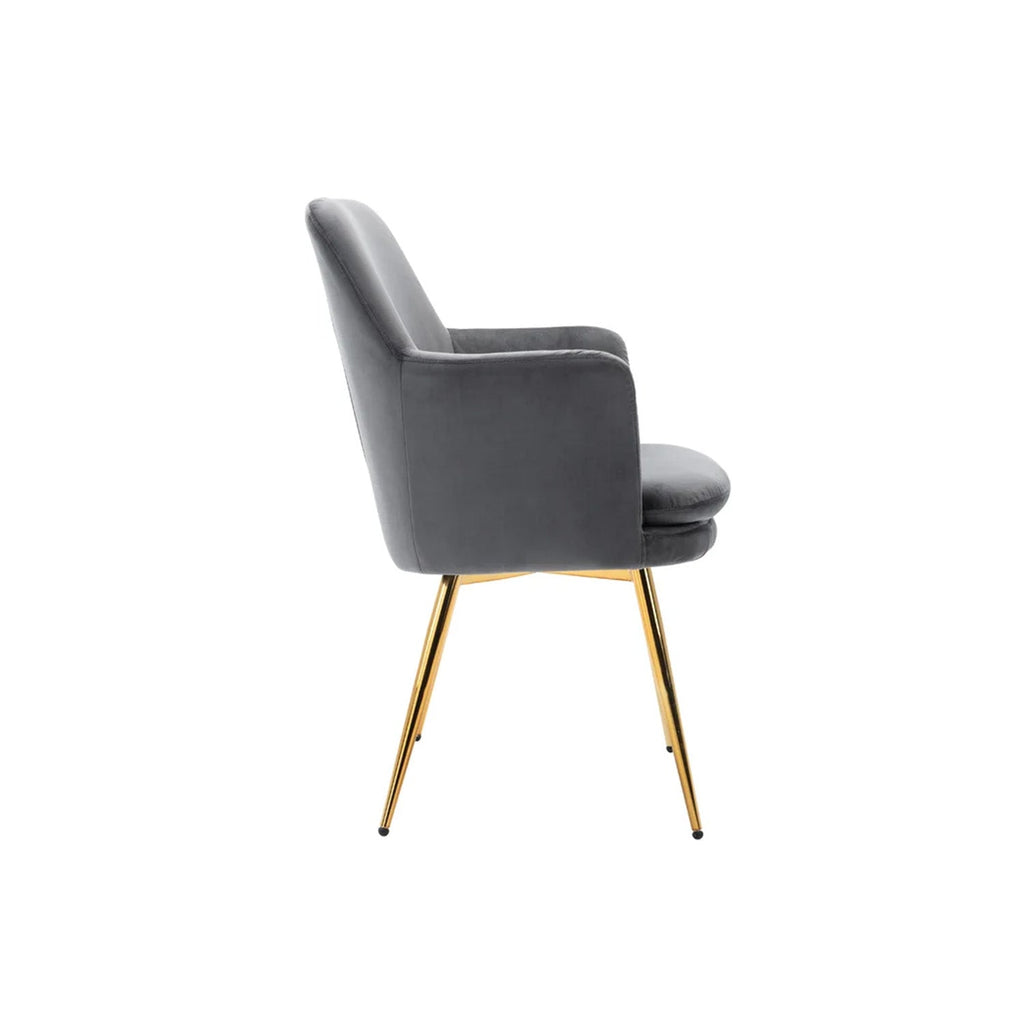 Luxurious Velvet Accent Dining Chair Blgreyue